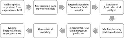 Spatial distribution as a key factor for evaluation of soil attributes prediction at field level using online near-infrared spectroscopy